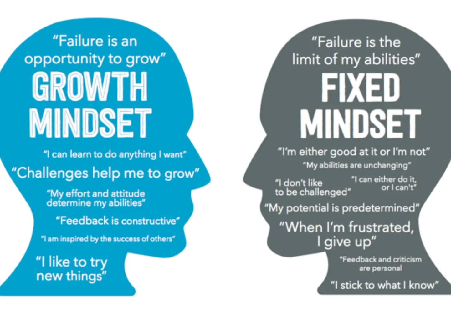 Growth vs fixed mindset